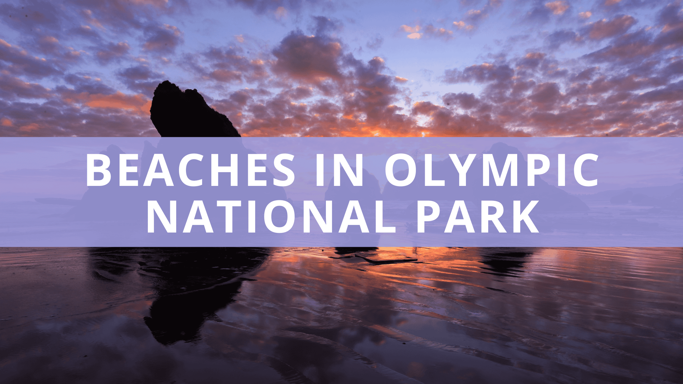 Beaches in Olympic National Park