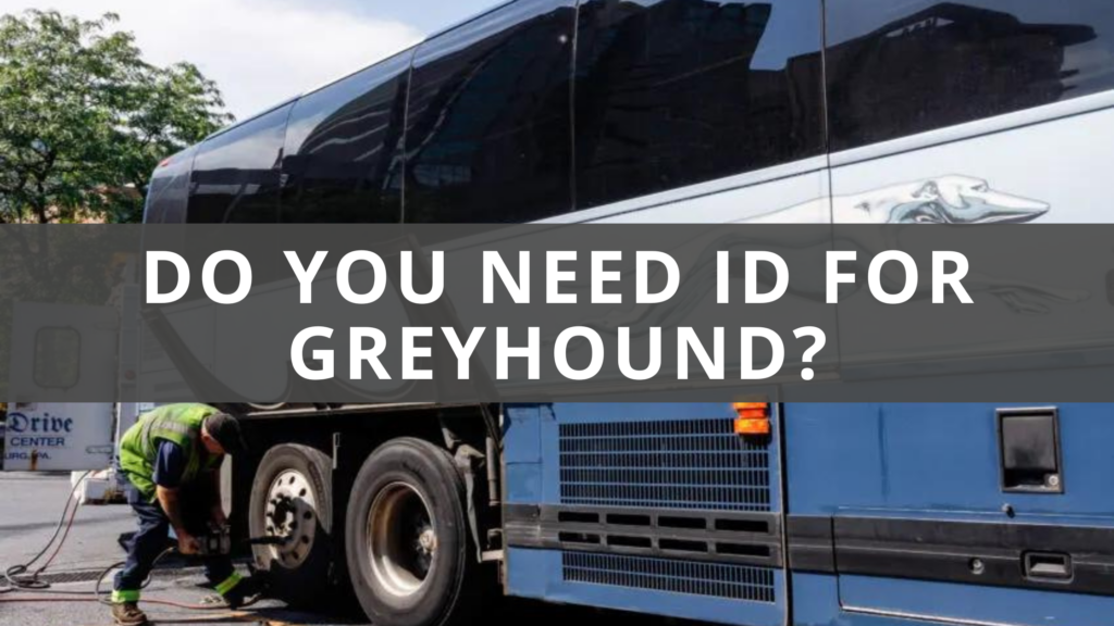 do-you-need-id-for-greyhound-sometimes-here-s-why