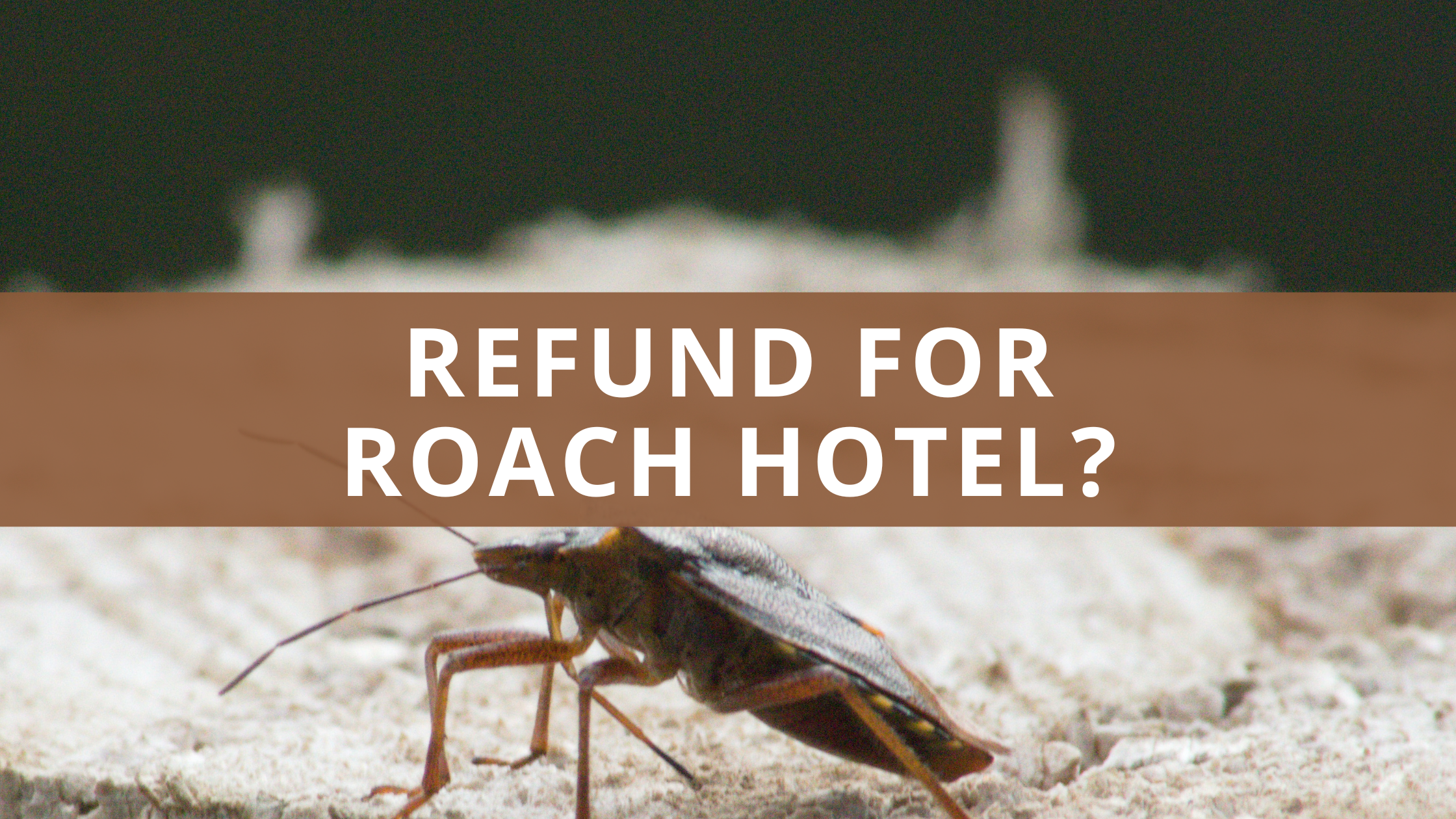 Refund for Roach Hotel