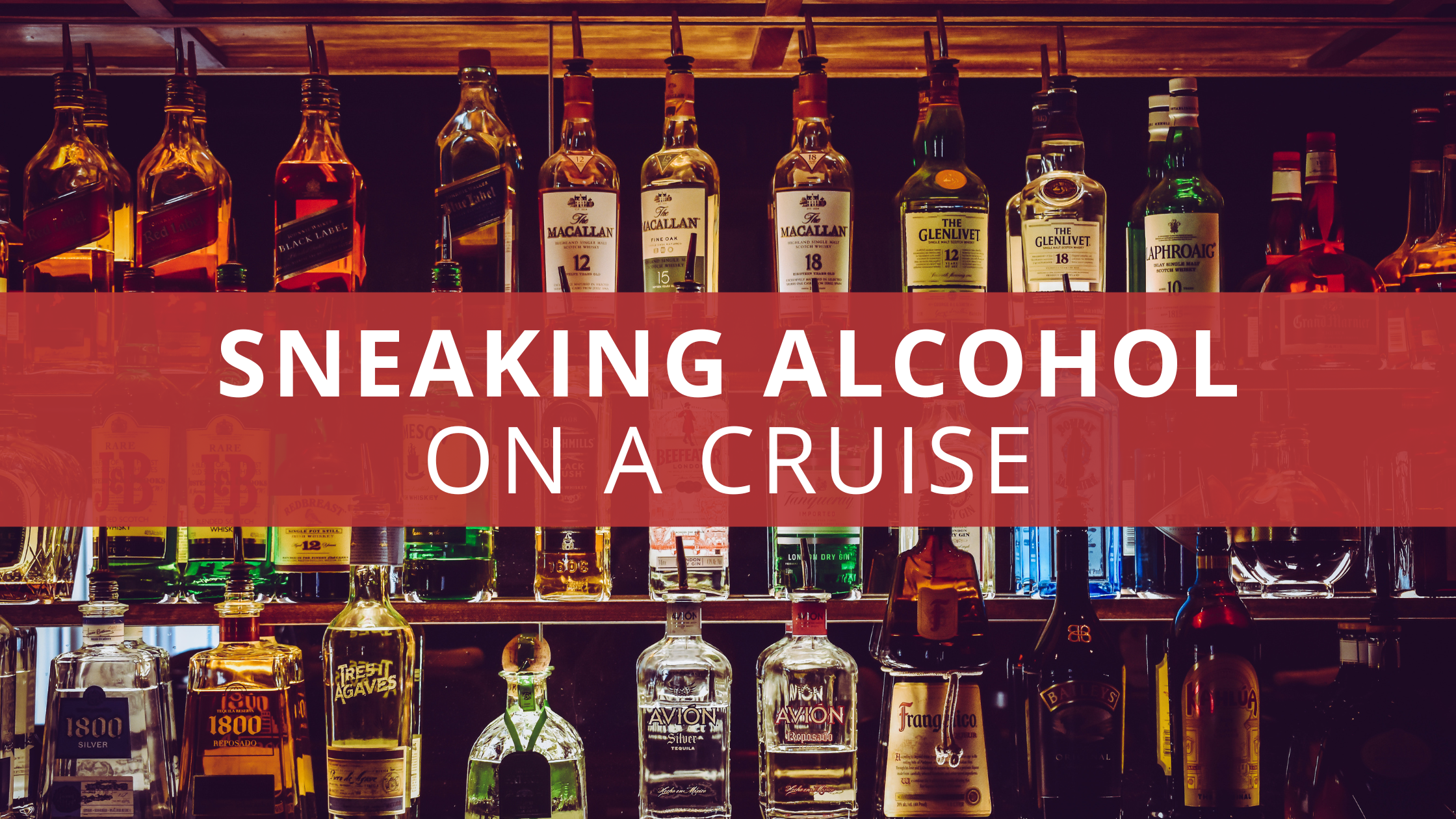 How to Sneak Alcohol on a Cruise Ship