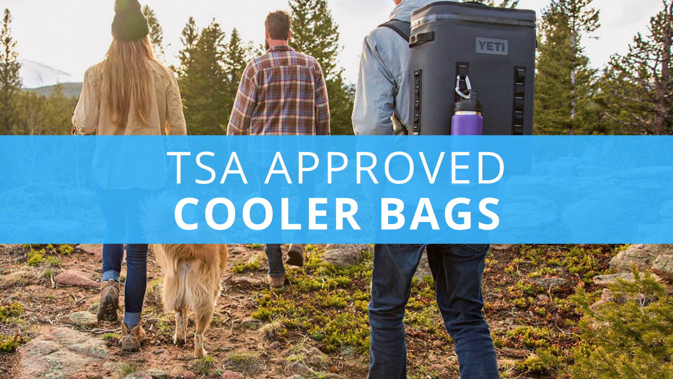 TSA Approved Cooler Bags