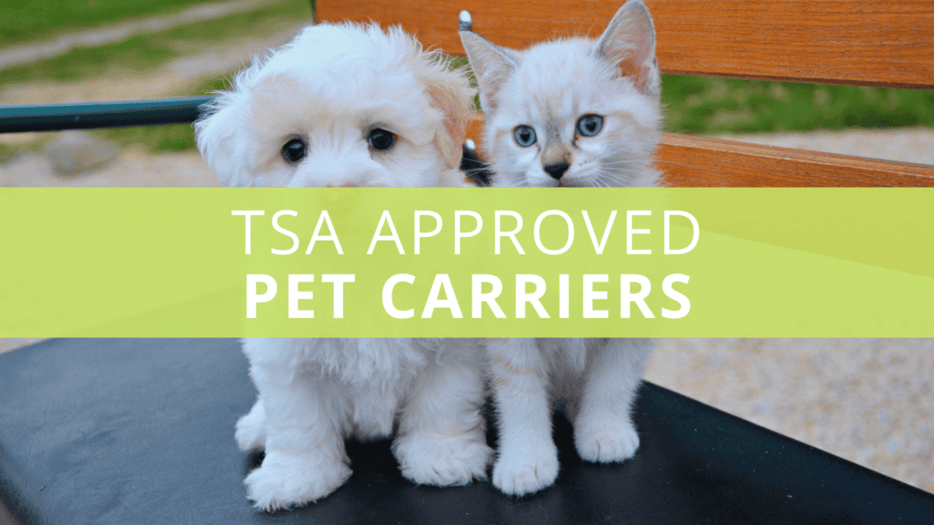 The 7 Best TSA Approved Pet Carriers for Dogs & Cats