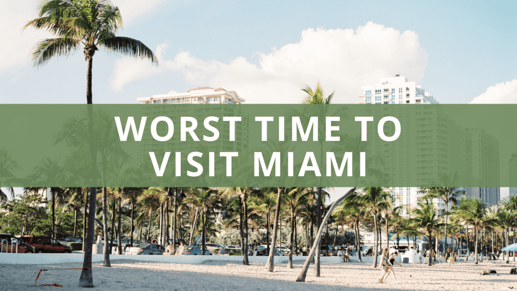 What’s the Worst Time to Visit Miami Plus 5 Top Tips