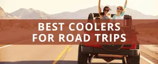 The 7 Best Coolers for Road Trips That Everyone Wants