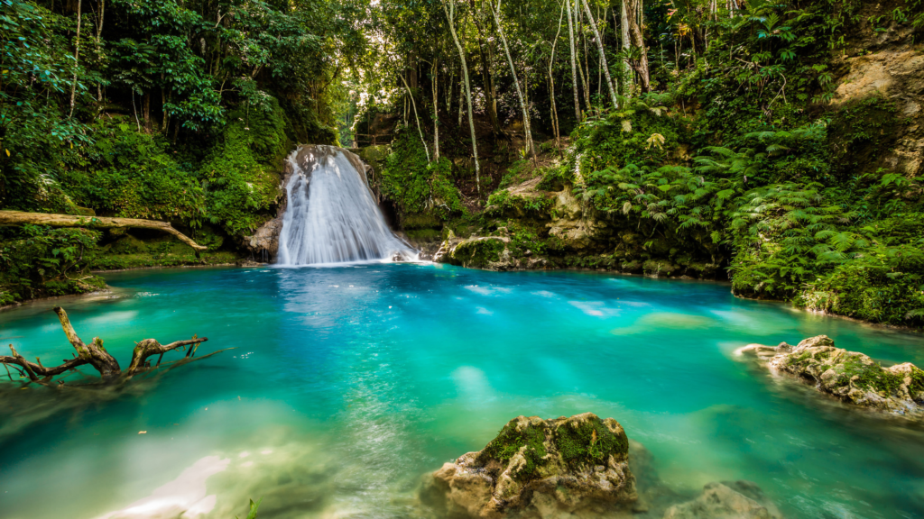 Best Time to Visit Jamaica