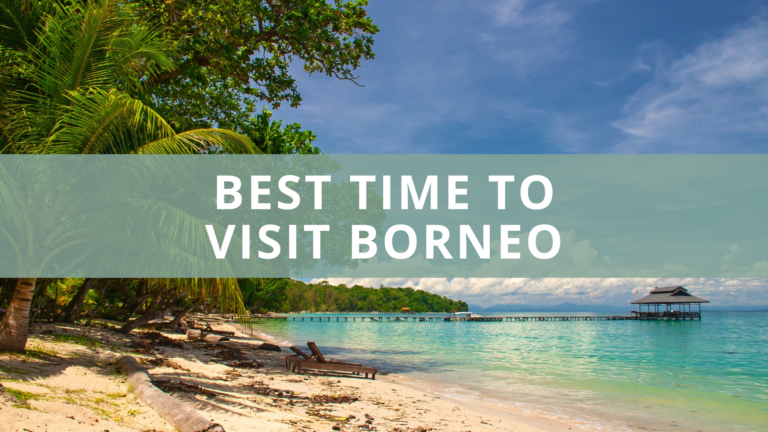 Best Time to Visit Borneo