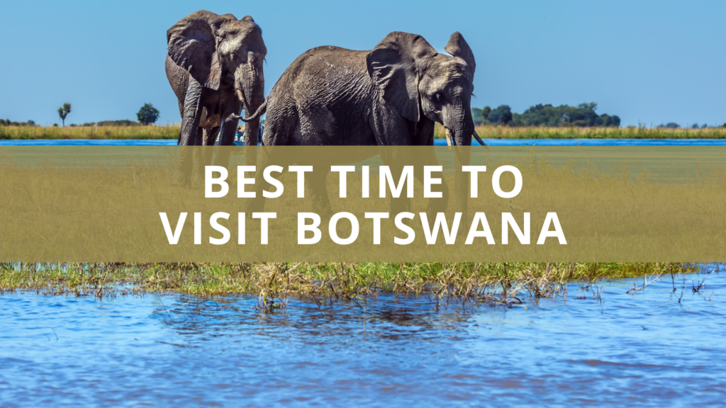 When Is The Best Time To Visit Botswana Plus 7 Top Tips   Best Time To Visit Botswana 1024x576 