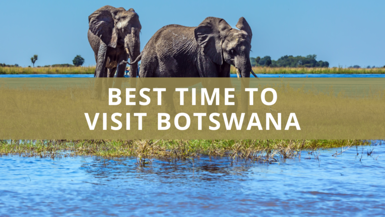 Best Time to Visit Botswana