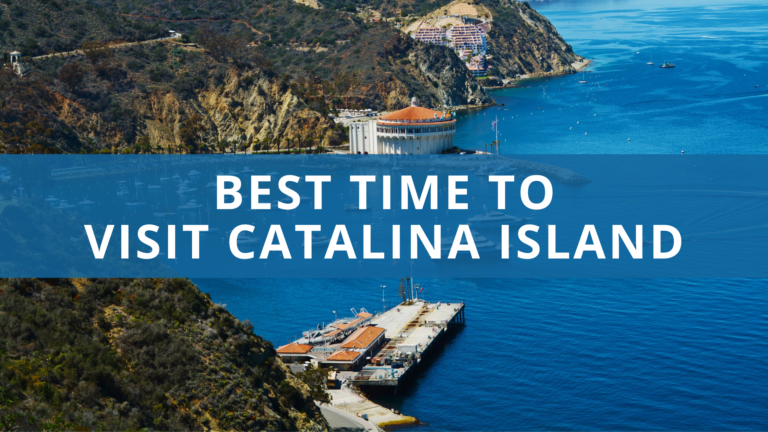Best Time to Visit Catalina Island