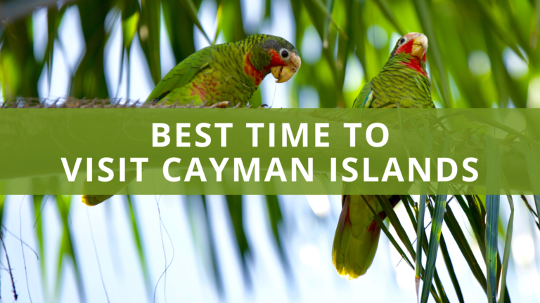 Best Time to Visit Cayman Islands