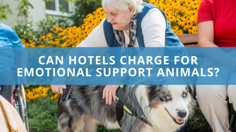 Can Hotels Charge for Emotional Support Animals
