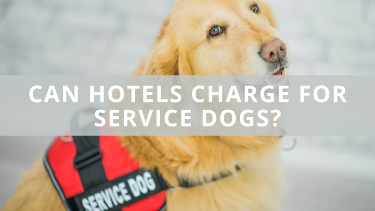 Can Hotels Charge for Service Dogs