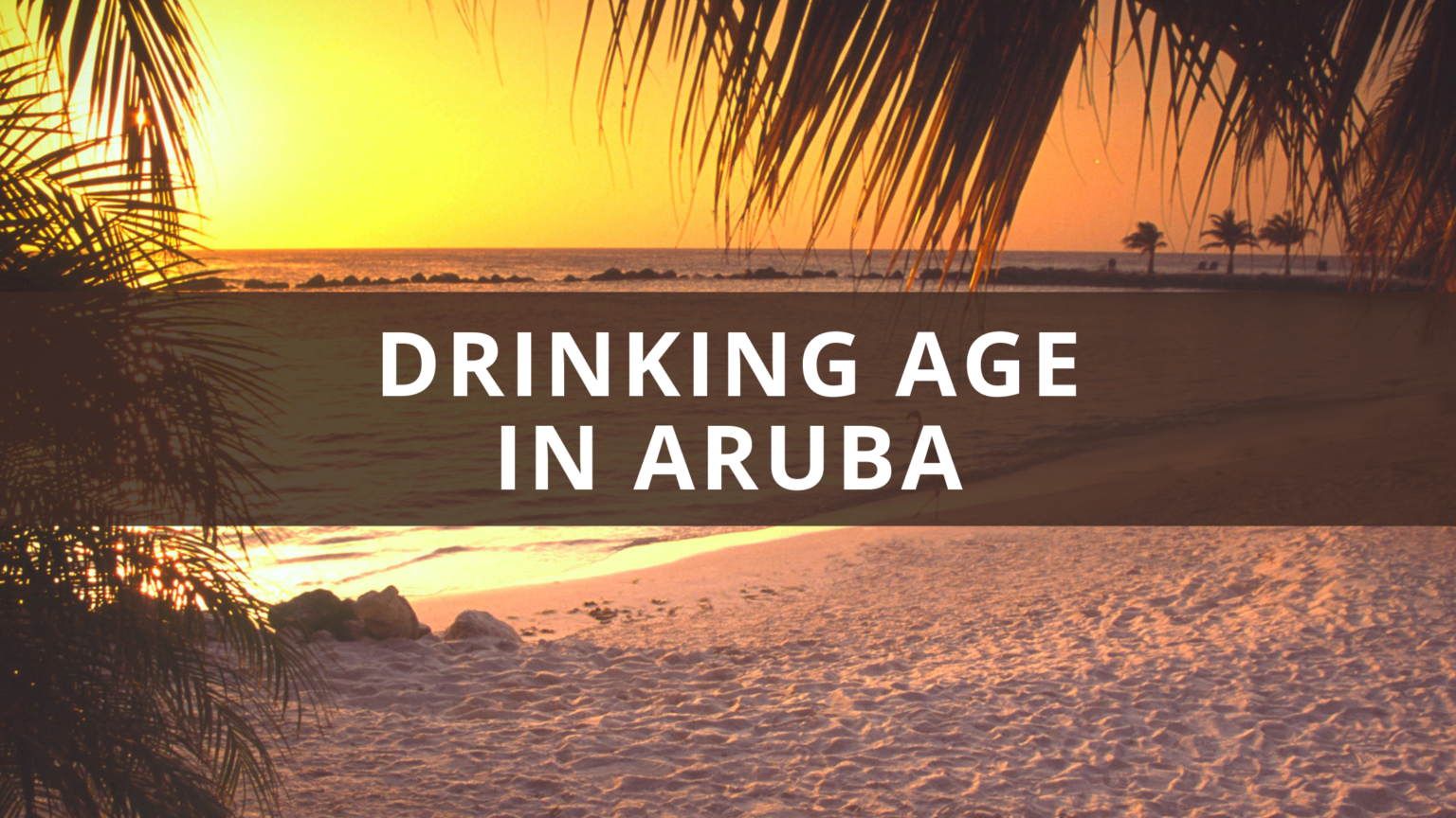 What Is The Drinking Age In Aruba Alcohol Laws Explained   Drinking Age In Aruba 1536x864 