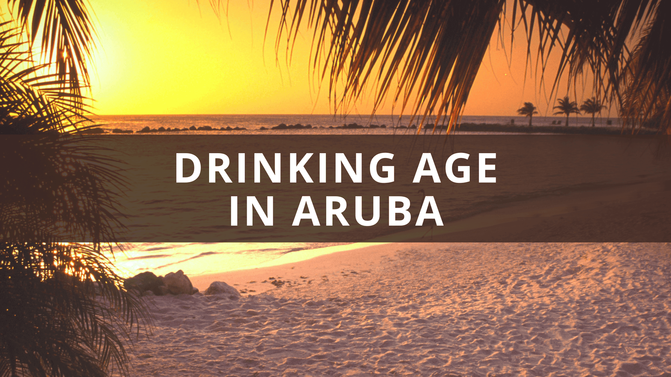 Drinking Age in Aruba